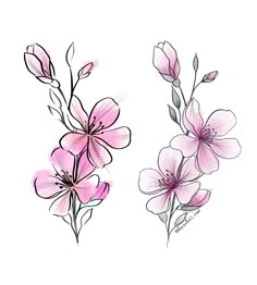 two pink flowers with green stems and leaves on white background, one is drawn by hand