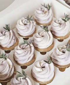 cupcakes with white frosting and sprigs on top in a box