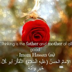 a red rose hanging from a branch with an arabic quote on the top and bottom