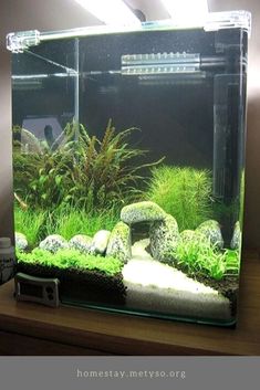 an aquarium with plants and rocks in it