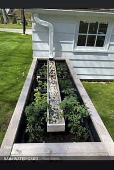 an outdoor garden with plants and rocks in the ground next to a white house on grass