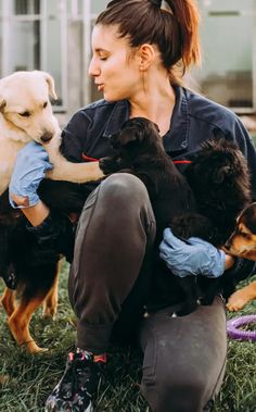 a woman kneeling down holding several dogs in her lap and looking at the camera,