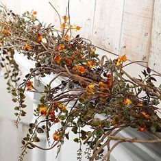 some branches with orange flowers are hanging from a window sill