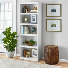 a white bookcase with plants and pictures on the wall next to a potted plant