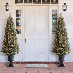 two potted christmas trees sitting in front of a white door with lights on it