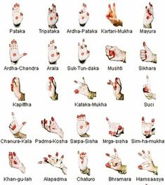 Kathak Costume, Bharatanatyam Dancer, Dancing Poses, Dance Of India, Plant Styling, Dance Wallpaper