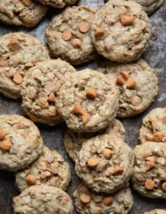 chocolate chip cookies on a baking sheet ready to be eaten