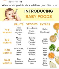 an info sheet with baby foods on it