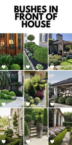 some bushes in front of a house with white hearts on the top and bottom right corner