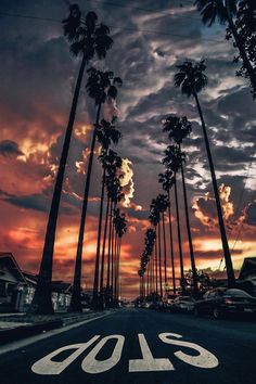 palm trees line the street in front of a colorful sky with clouds and sun going down