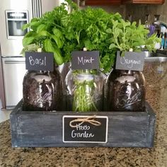 three mason jars with herbs in them sitting on a kitchen counter