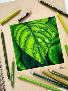 a drawing of a green leaf with drops of water on it, surrounded by crayons