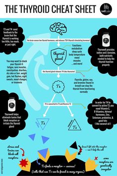 Thyroid info in a nice convenient cheat sheet from Well Labs. Natural thyroid help and explanations. LOVE THIS! Nutrition has a HUGE effect on thyroid. Hypothyroid Vs Hyperthyroid, Symptoms Of Hypothyroid, Hyperthyroid Vs Hypothyroid Nursing, Overactive Thyroid, Thyroid Remedies, Hypo And Hyper Thyroidism, L Tyrosine, Functional Nutrition