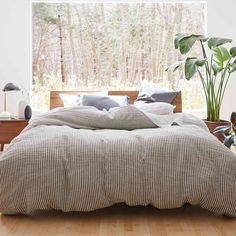 a bed sitting on top of a wooden floor next to a plant in a room