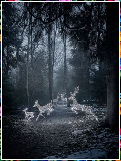 Outdoor Christmas Decorations - Ever feel like you're wasting your time searching? Visit to get what you need from one of the worlds largest online store! Take action NOW! Reindeer Figure, Stag And Doe, Christmas Garden, Christmas Deer, Christmas Aesthetic, Landscape Lighting, Outdoor Christmas Decorations