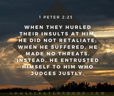 Verse of the Day: 1 Peter 2:23 When they hurled their insults at him, he did not retaliate; when he suffered, he made no threats. Instead, he entrusted himself to him who judges justly. When someon…