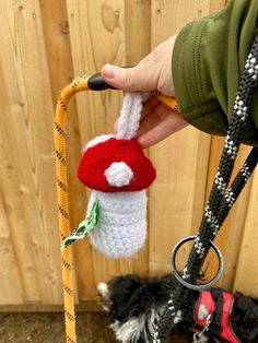 a small dog is being held by a person wearing a knitted hat and leash