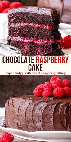 chocolate raspberry cake with fresh raspberries on top