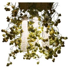 a chandelier that has some plants growing on it