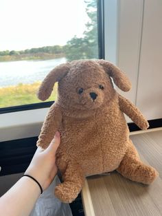 a person holding a stuffed animal in front of a window