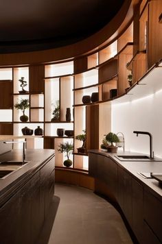 a kitchen with wooden shelves and plants on the counter tops, along with an island