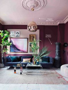 a living room filled with furniture and a potted plant in the middle of the room