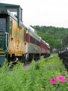 a train traveling down tracks next to a lush green forest filled with pink and yellow flowers