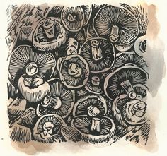 an ink drawing of mushrooms and other things