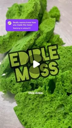 the cover of edible moss by okia tokie, with an image of green algae on it