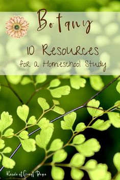 green leaves with text that reads botany 10 resources for homeschool study