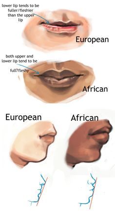 four different types of mouth shapes and their corresponding parts are labeled in the diagram below