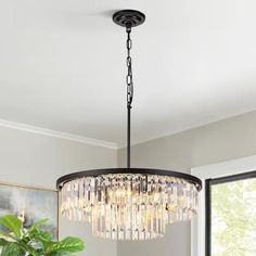 a chandelier hanging from the ceiling in a dining room with potted plant