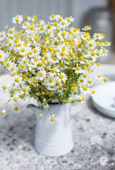 a white vase filled with yellow and white flowers on top of a stone countertop