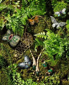 many butterflies and plants are on the ground in the grass, with moss growing all around them