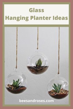 three glass hanging planters with plants in them and text overlay that says, glass hanging planter ideas