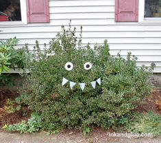 a bush with eyes and leaves in front of a house