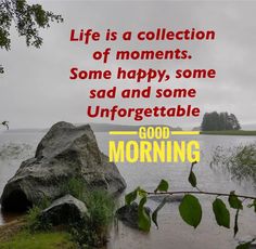 Better Life Quotes, Better Life, Good Morning, Life Quotes, In This Moment, Quotes, Quick Saves