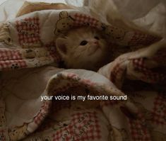 a kitten hiding under a blanket with the caption your voice is my favorite sound