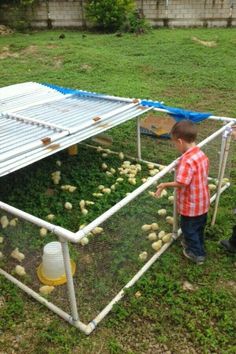 a young boy standing in front of a chicken coop filled with eggs and chickens on the grass