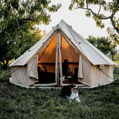 a dog laying in the grass next to a tent with two people sitting inside it