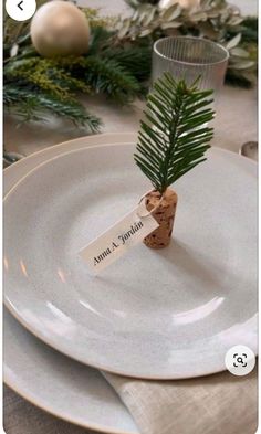 there is a small tree in the middle of a plate with a name tag on it