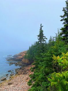 a bench sitting on top of a rocky beach next to the ocean with trees around it