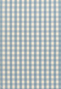 a blue and white checkered rug