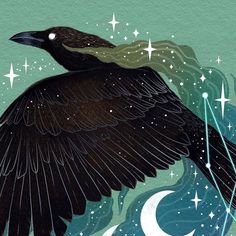 an illustration of a black bird flying in the sky with stars and crescents around it