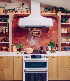 a stove top oven sitting inside of a kitchen next to wooden shelves filled with potted plants