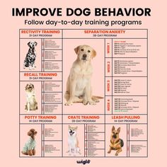 a poster with different dog breeds and their training instructions on it's front cover