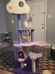 a small white dog standing on top of a purple cat tree in a living room