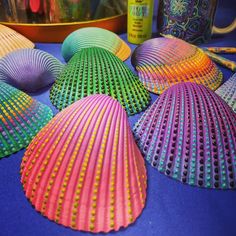 many different colored seashells sitting on a table