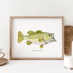 a painting of a large mouth bass on a shelf next to a cup and saucer