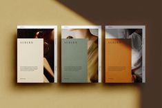 three brochures with different colors and shapes on the front, back and sides